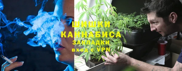 трава Медвежьегорск