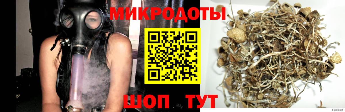 Новокузнецк  Галлюциногенные грибы MAGIC MUSHROOMS  Вход с VPN  где купить наркоту  Галлюциногенные грибы MAGIC MUSHROOMS 